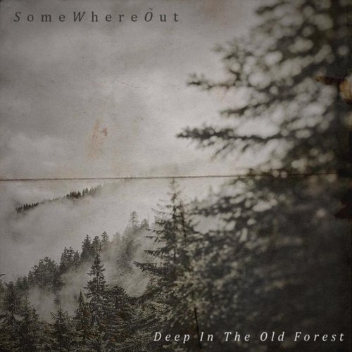 Deep in the Old Forest
