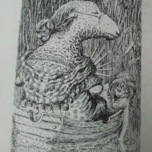 Wool and Water