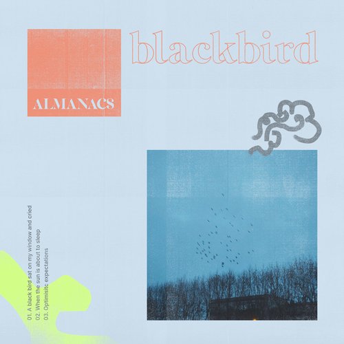 Blackbird