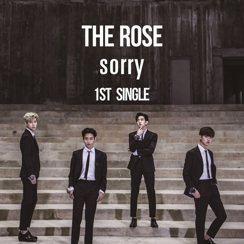 Sorry - Single