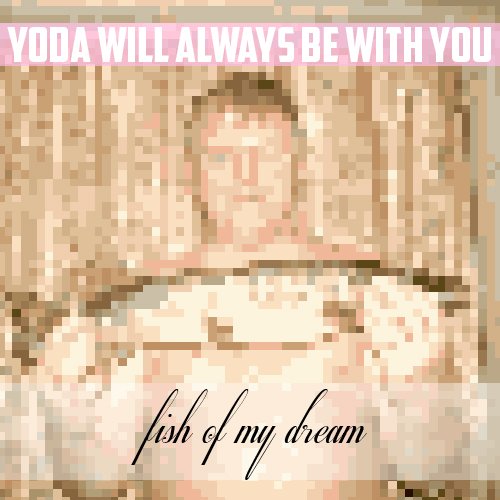 Fish of my dream
