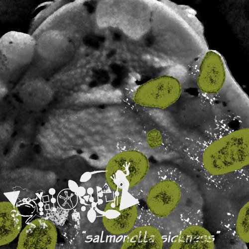 Salmonella Sickness