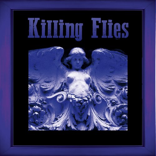 Killing flies