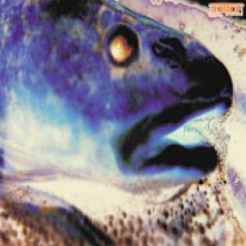 HAL 9000 / Highway of Love - Split 10inch (2000)