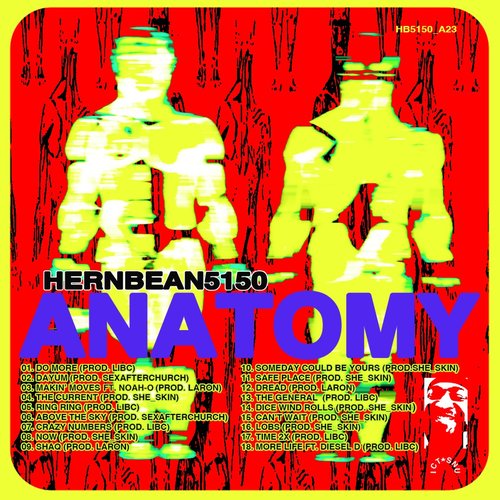 Anatomy