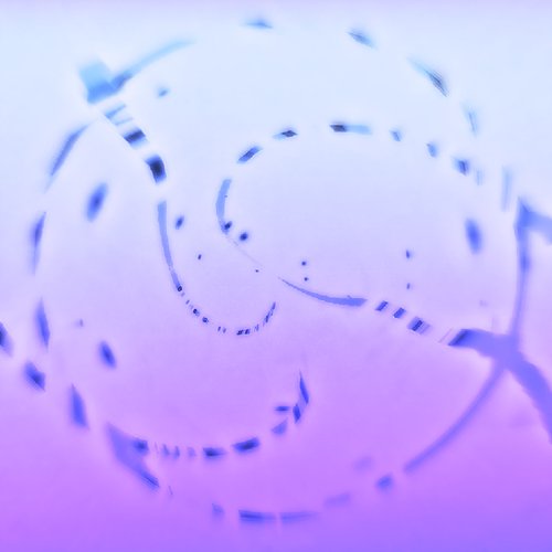 Whisper