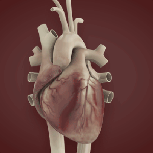 Heartbeat Sound Effects: Relaxing and Hypnotic Aid Sleep
