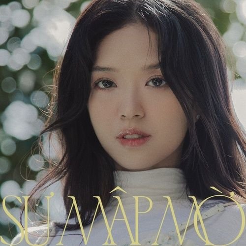Sự Mập Mờ - Single