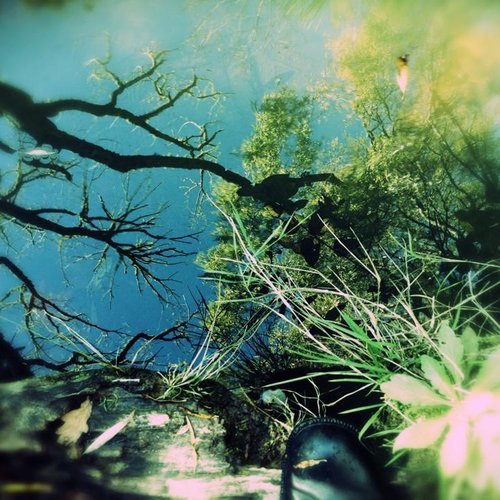 In Dreams