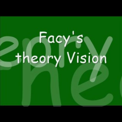 Facys theory Vision