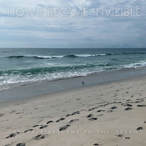 The Wave Returns to the Ocean [Explicit]