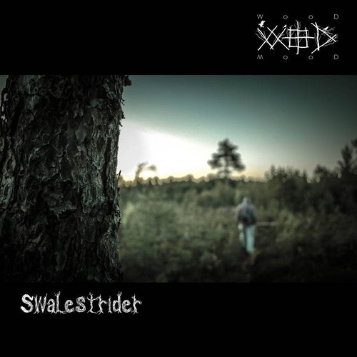swalestrider