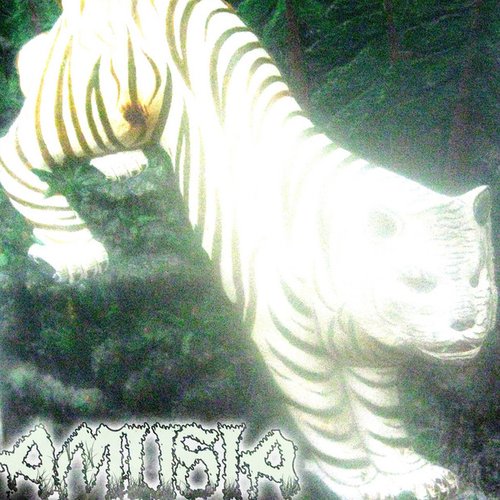 AMUSIA
