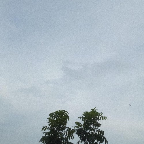 Tanan