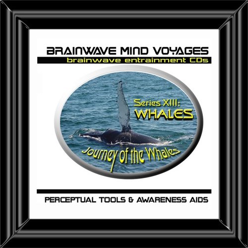 BMV Series 13 - Whales - Nature Brainwave Meditation