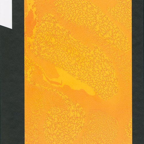 The Complete Early Years: 1969: Dramatis/ation