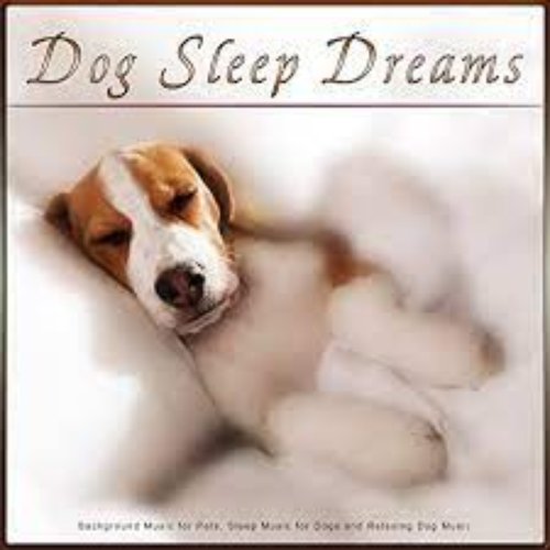 Dog Sleep Dreams: Background Music for Pets, Sleep Music for Dogs and Relaxing Dog Music