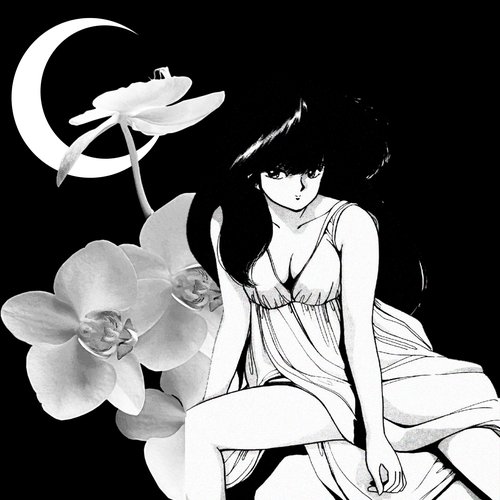 Miss (Deluxe)