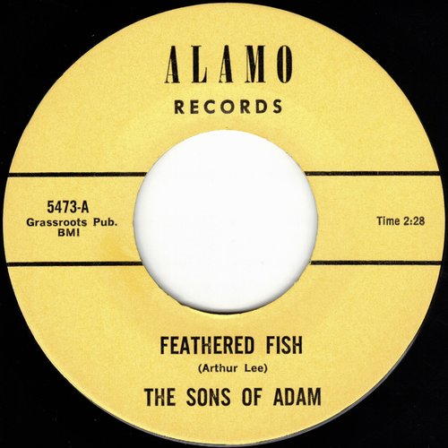 Feathered Fish / Baby Show the World