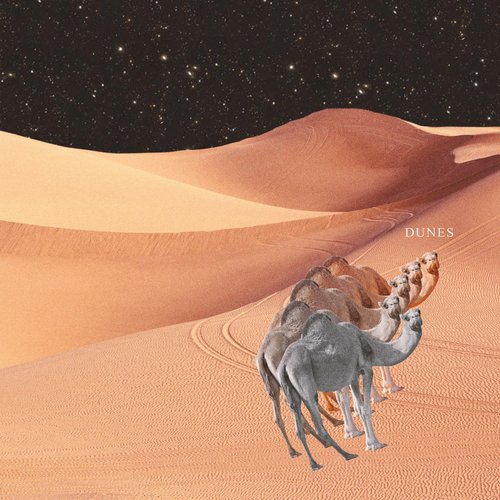 DUNES