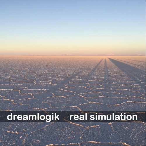real simulation