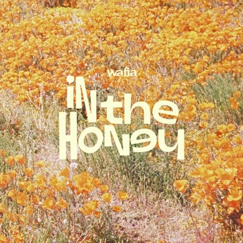 In the Honey - Single