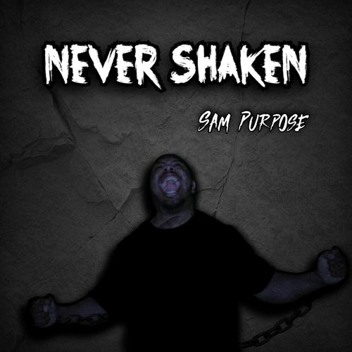 Never Shaken - Single
