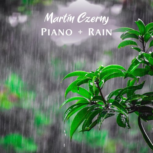 Piano + Rain