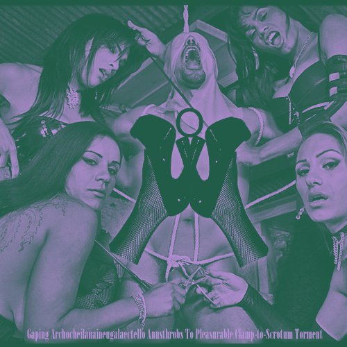 Gaping Archocheilanaineugalaectello Anusthrobs To Pleasurable Clamp-to-Scrotum Torment