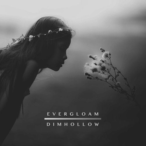 Dimhollow