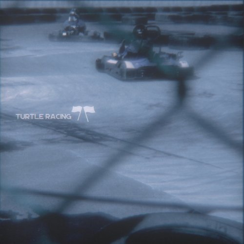 Turtle Racing