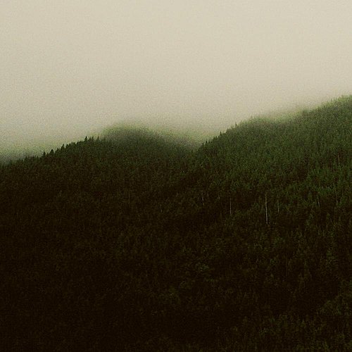 Thirteen