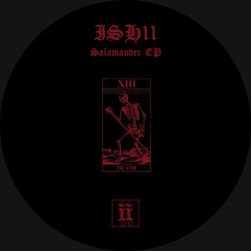 Salamander