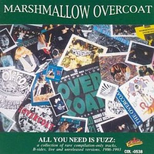 All You Need Is Fuzz