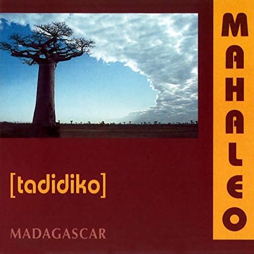 Tadidiko (Madagascar)