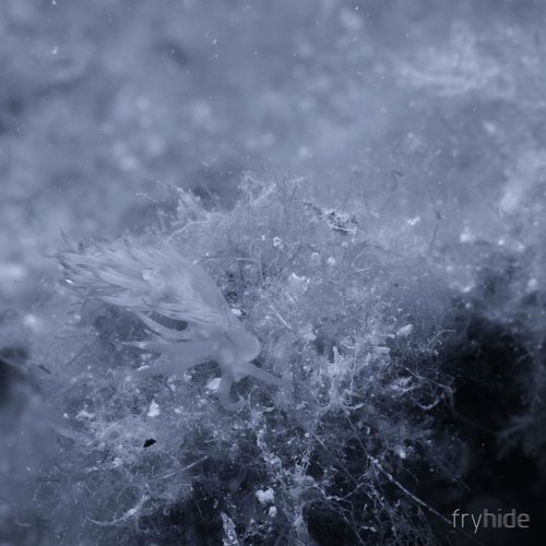 Submarine EP