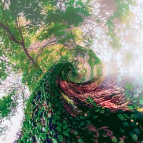 Tunnels