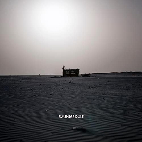 Too Late - Single