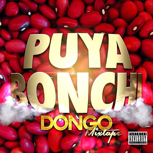 Puya Bonchi