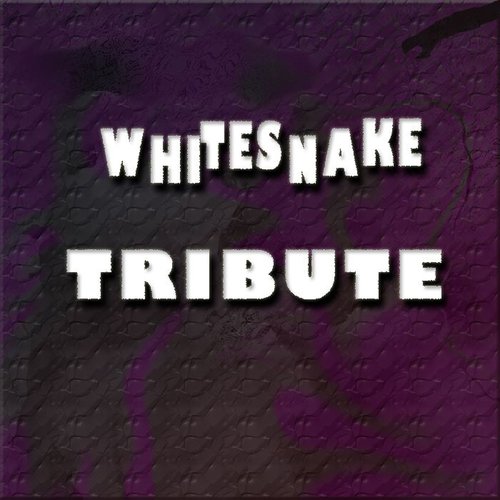 Whitesnake Tribute