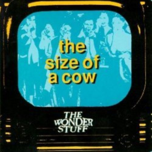 The Size of a Cow