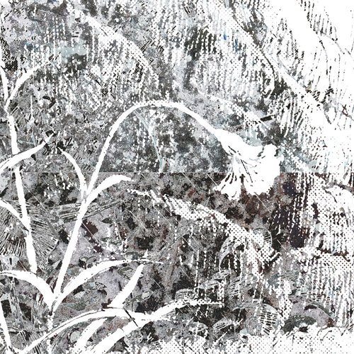 frozen over