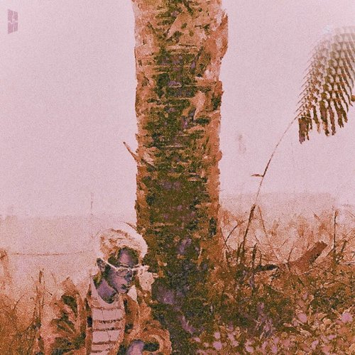 Primal