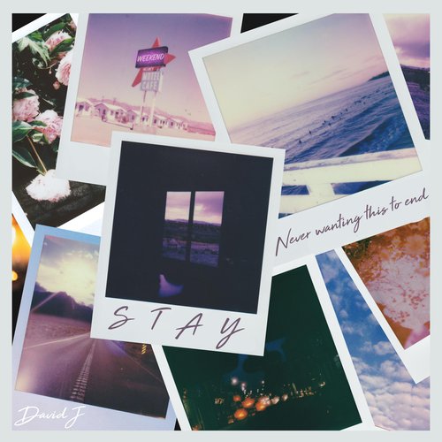 Stay - Single