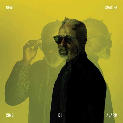 Ring Di Alarm