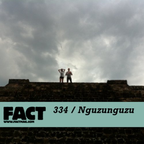 FACT Mix 334