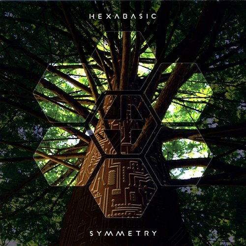 Symmetry