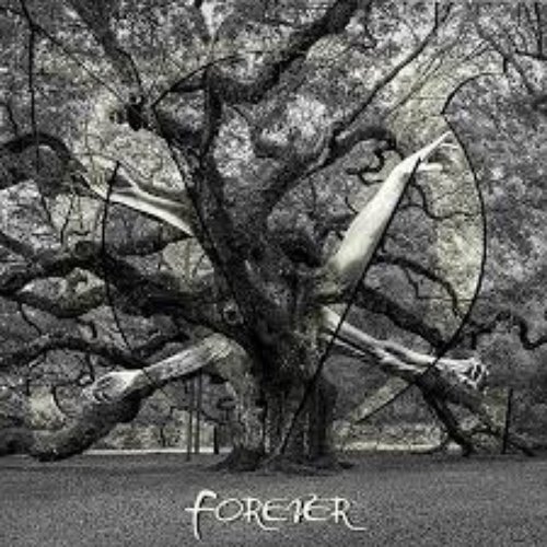 Forever