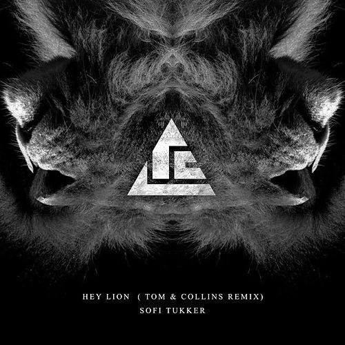 Hey Lion (Tom & Collins Remix) - Single