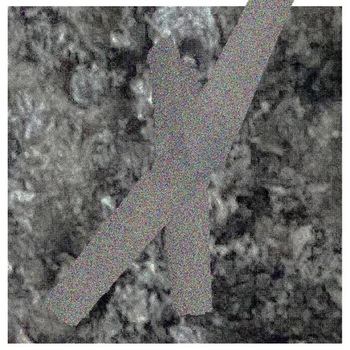 _No Curtains 1